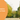 Everything you need to know about Xplora Care