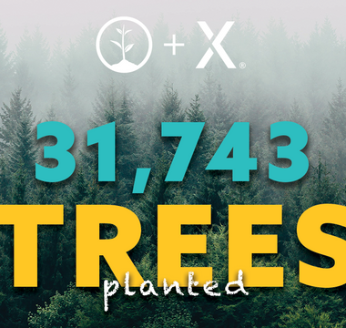 We're Planting 31,743 Trees in Canada!