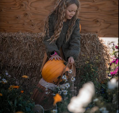 Halloween activities the whole family will enjoy